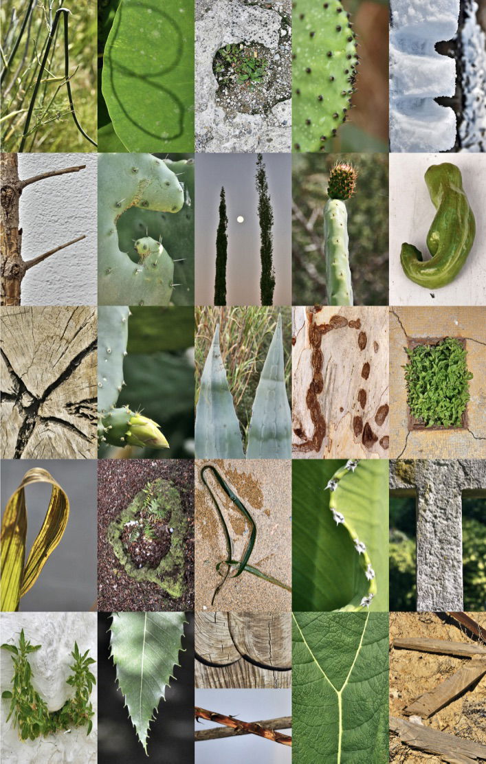 Motiv-ABC | Fotos © Almut Adler