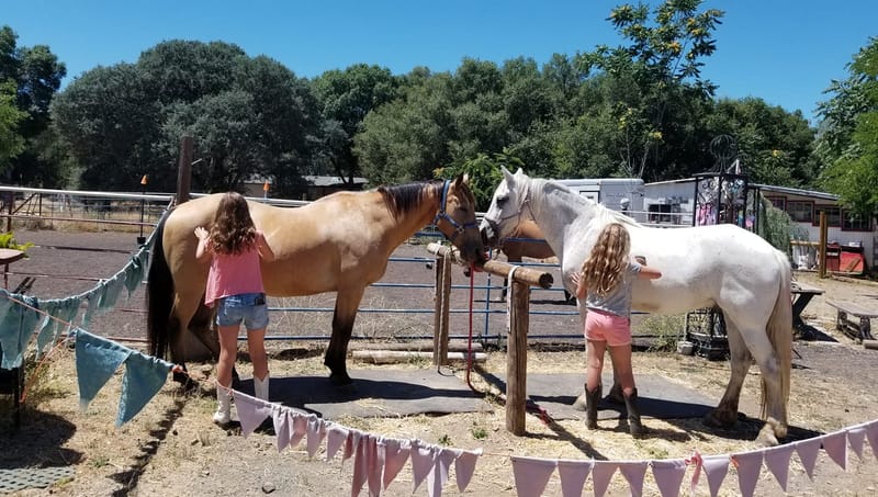 Sponsorships /Volunteers