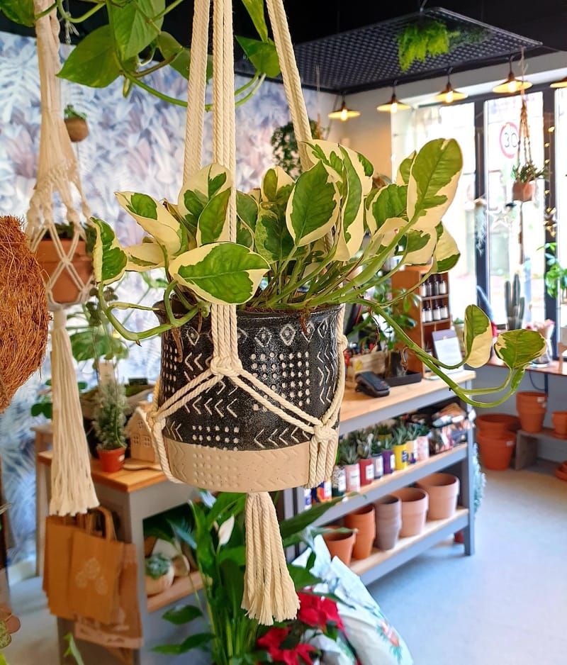 Macramés, plateaux, moulages résines à suspendre