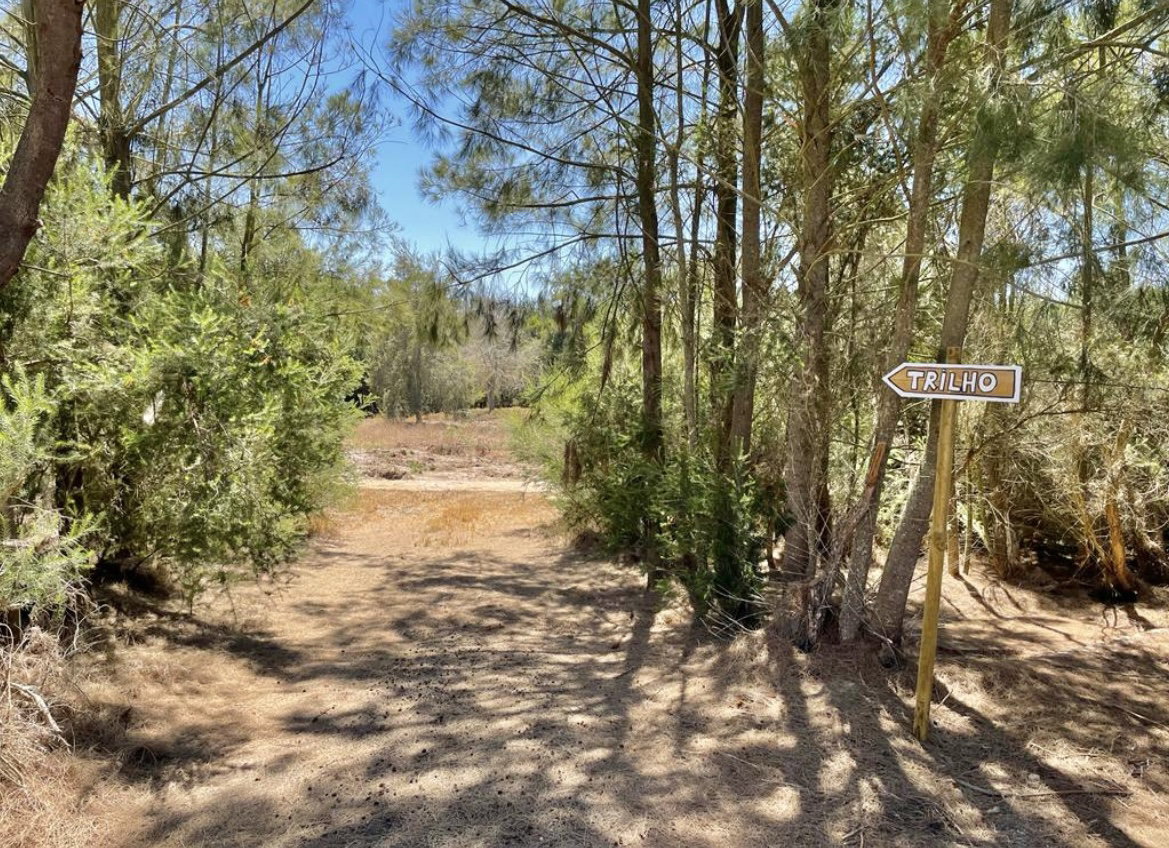 Monte Caeiro Hike Trail