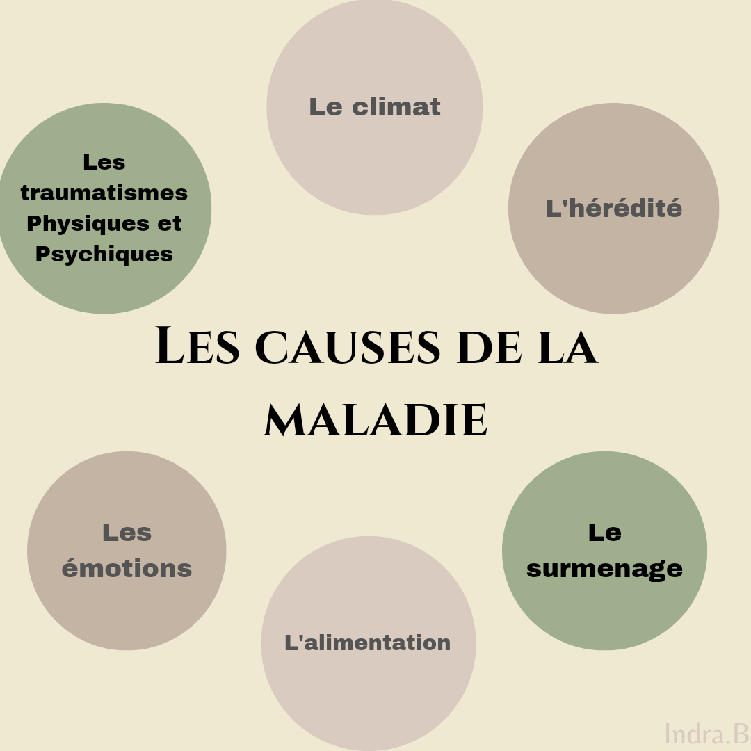 Les Causes de la Maladie