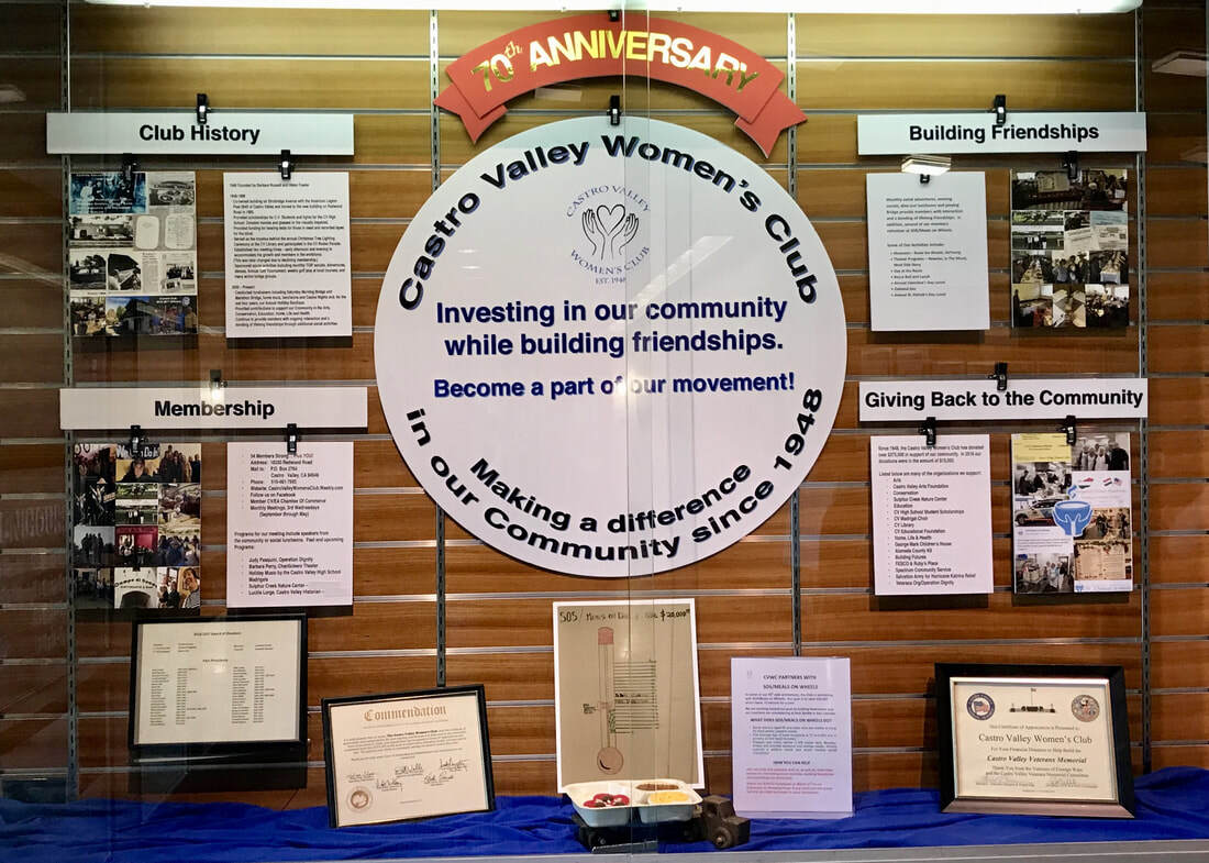 Castro Valley Library Display 2017