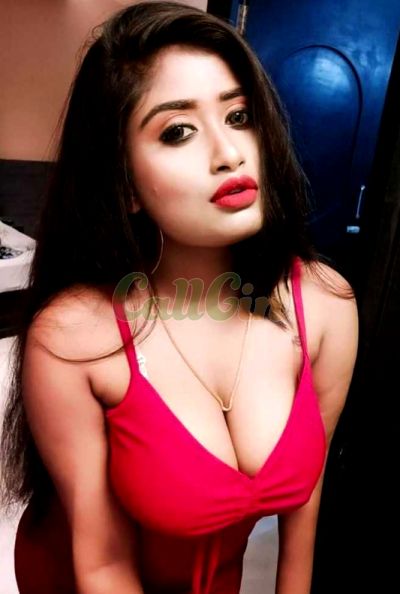 Udaipur call girls service