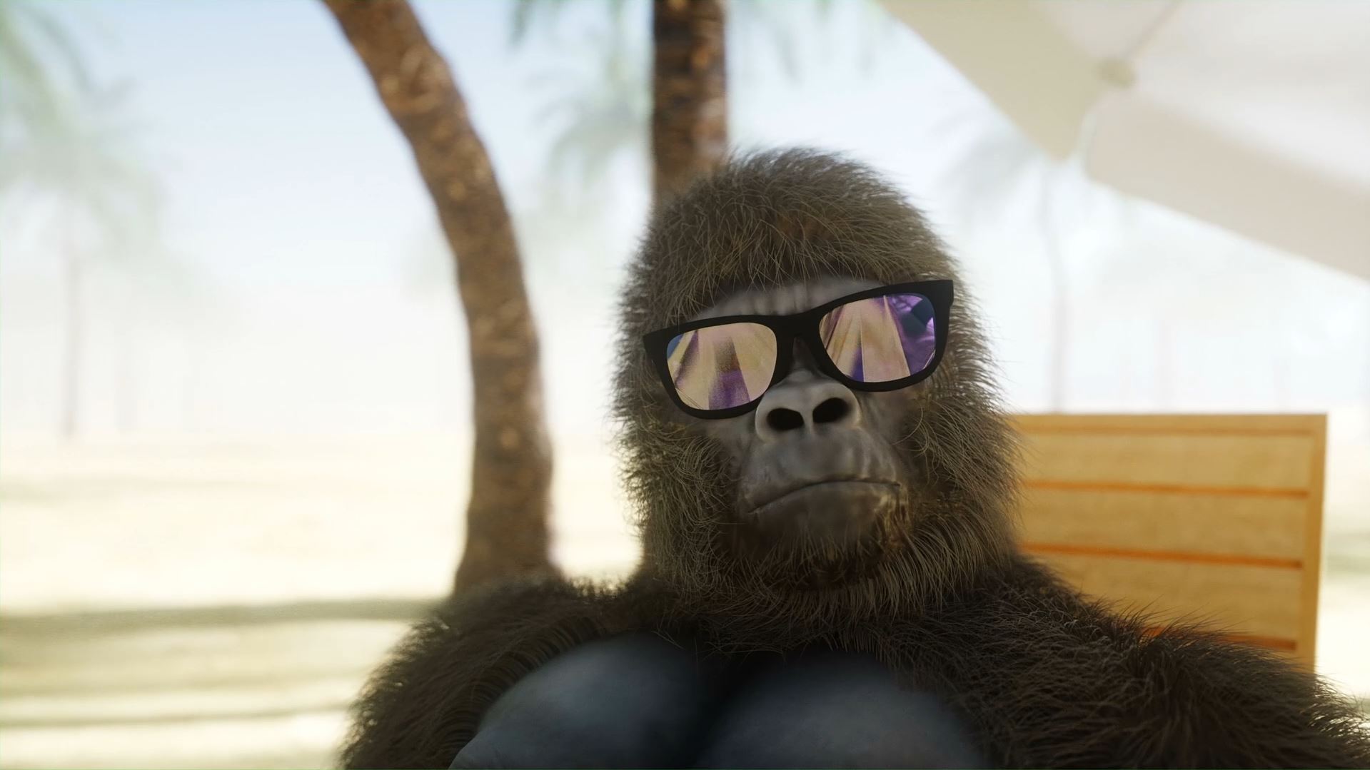 Flying Carpet Monkeys