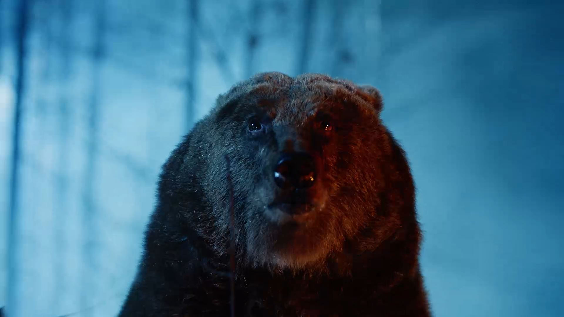 Telemach MOBILNA BEAR