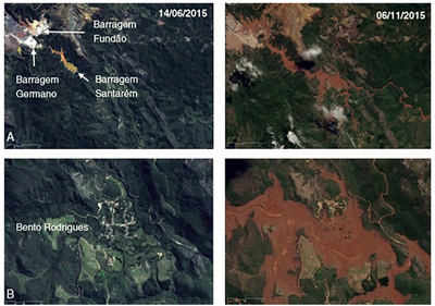 Dam failure and mammals: a portrait of the scenario prior to Mariana disaster.