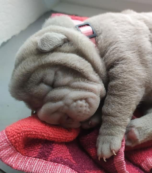 réservation dès la naissance