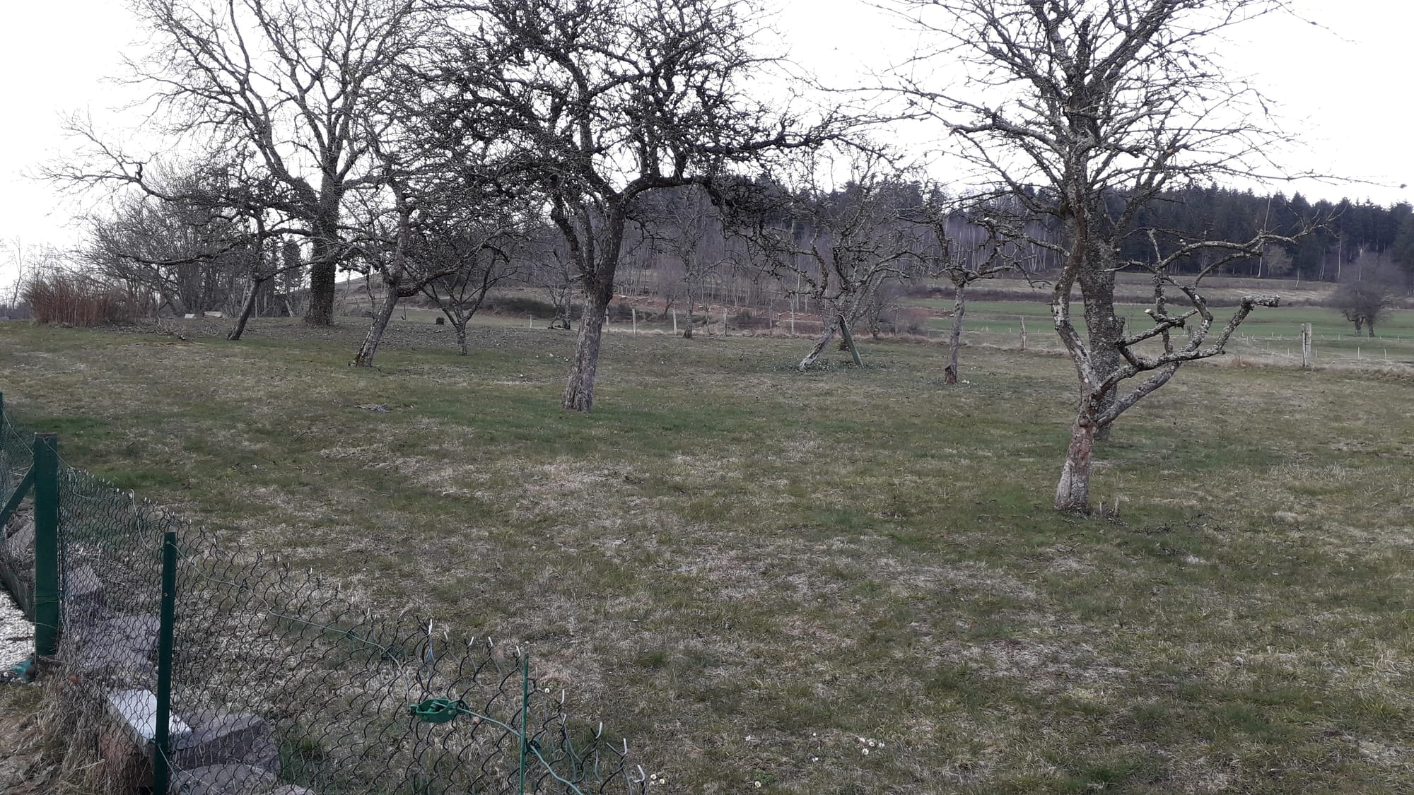 Photos de l'extérieur et des environs directs