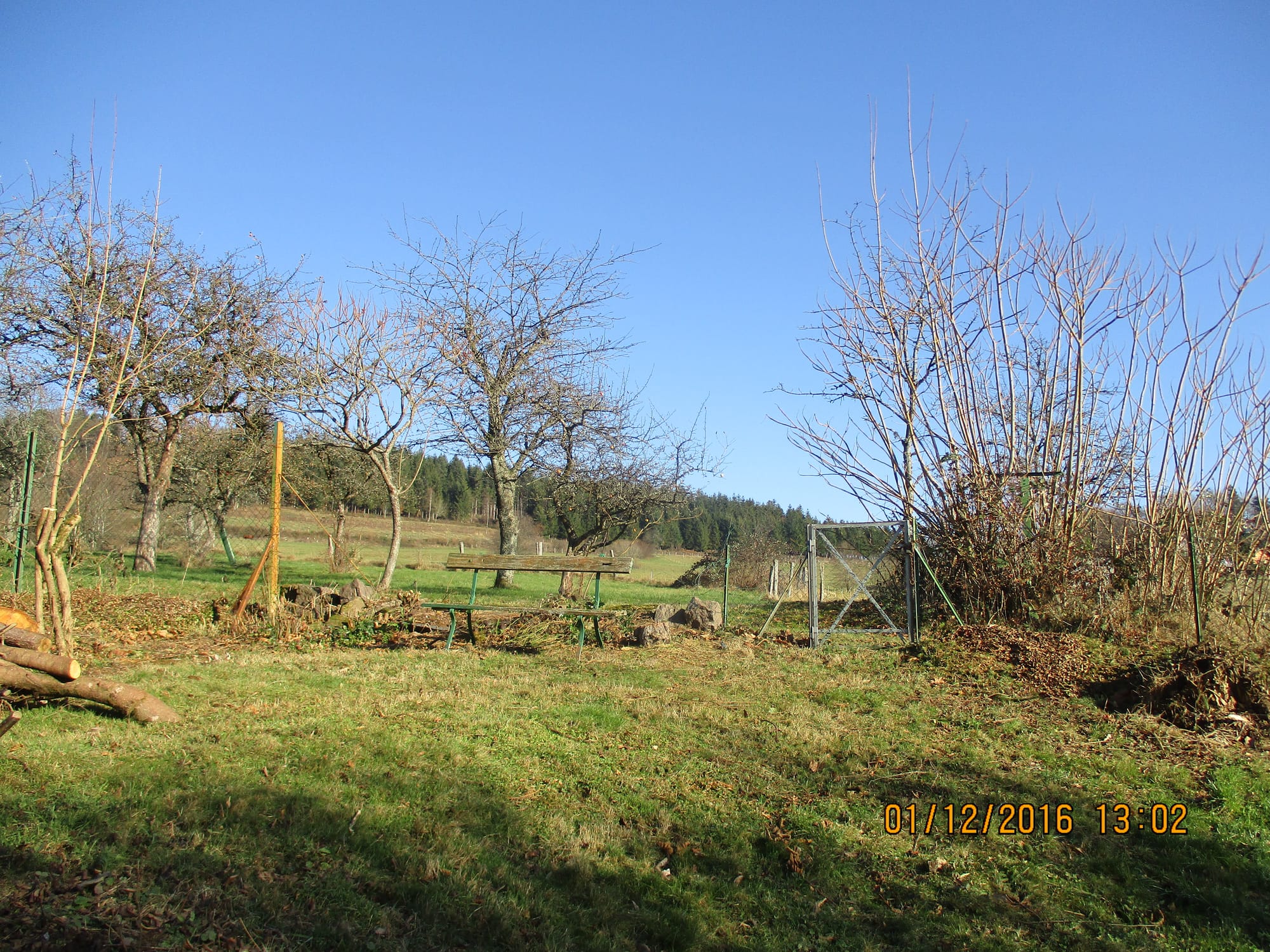Photos de l'extérieur et des environs directs