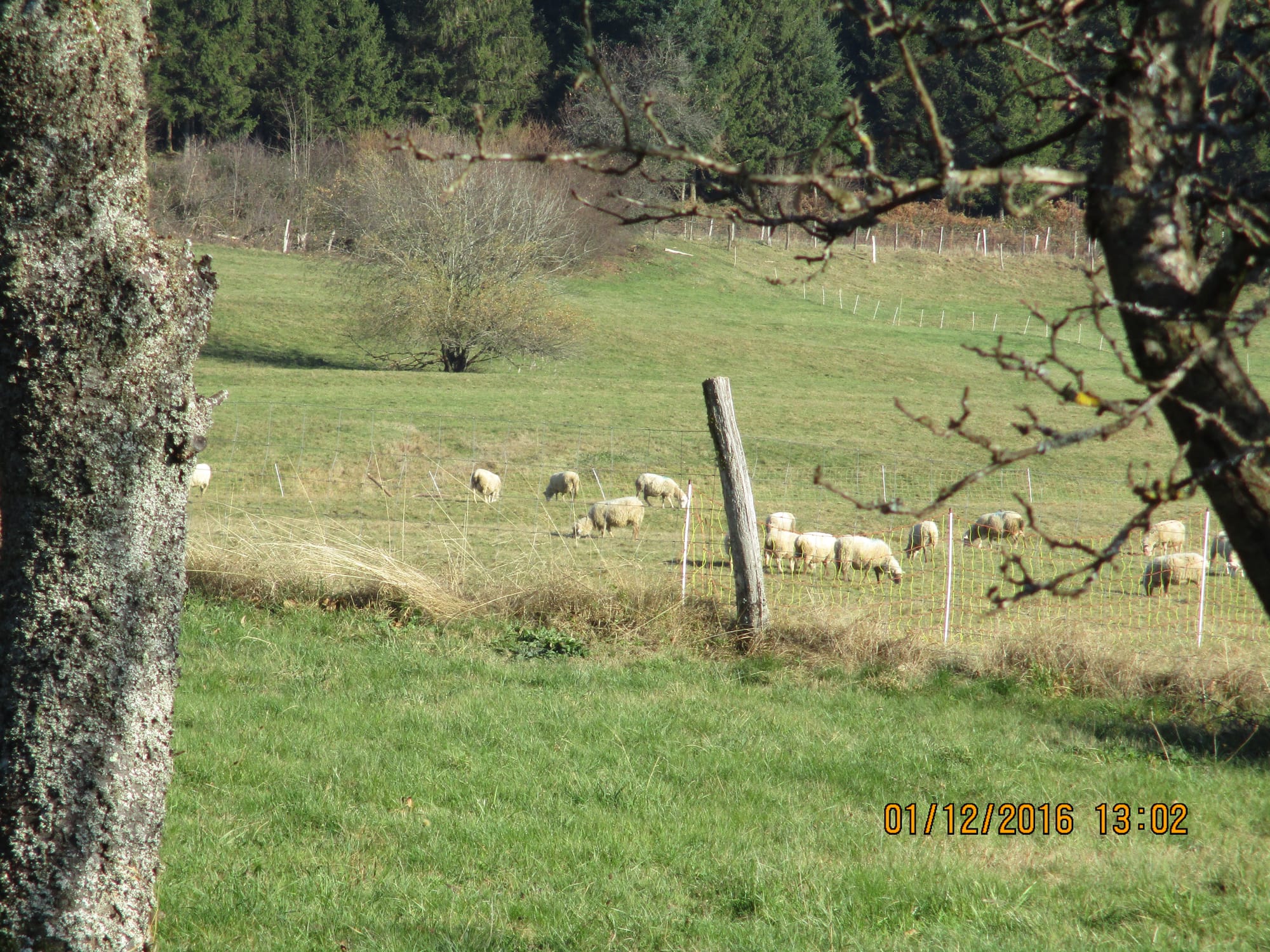 Photos de l'extérieur et des environs directs