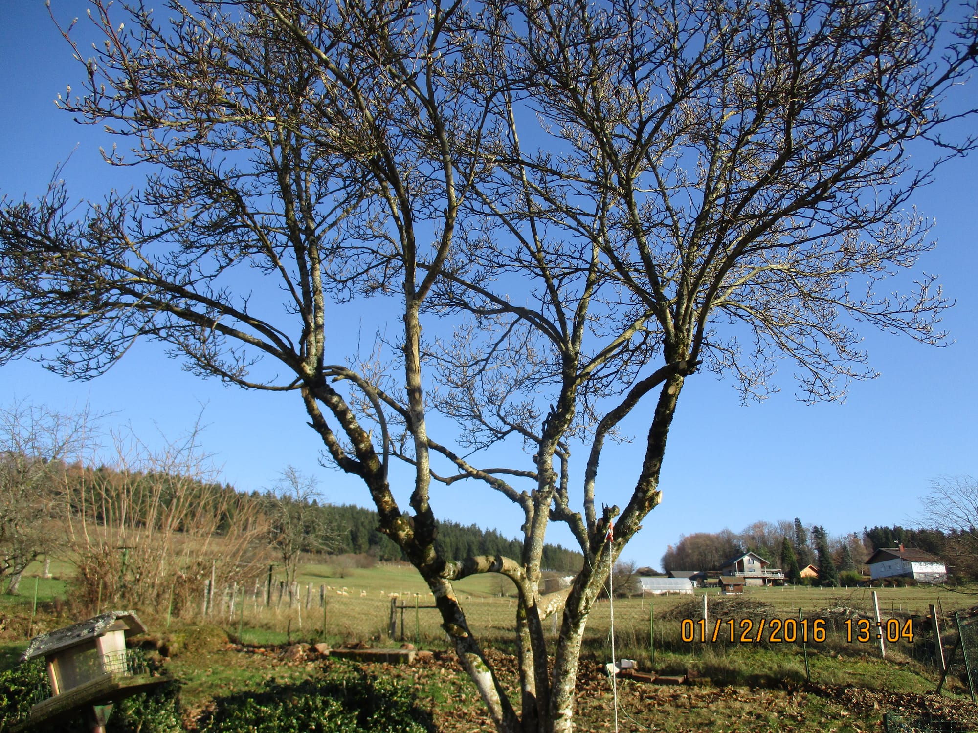 Photos de l'extérieur et des environs directs