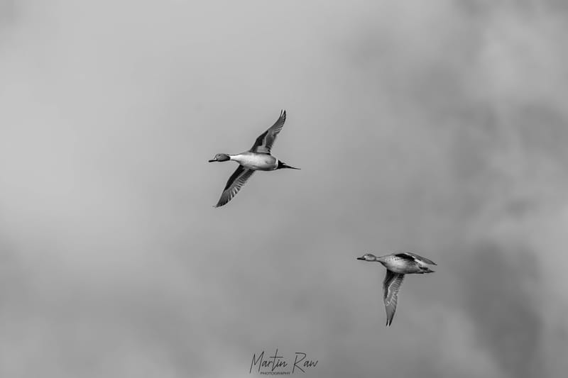 Testimonials martinrawphotography