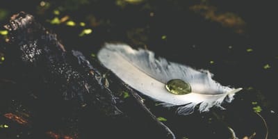 Ulga dla kręgosłupa z wanną z hydromasażem SPA