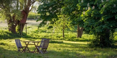 Wiosna - czas na nowy pomysł aranżacji ogrodu