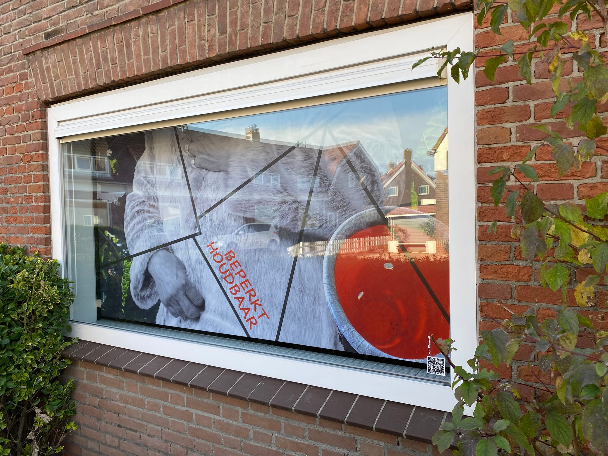 2021/2022 Beperkt Houdbaar -  Tuindorp Vlissingen (fotobeeld)
