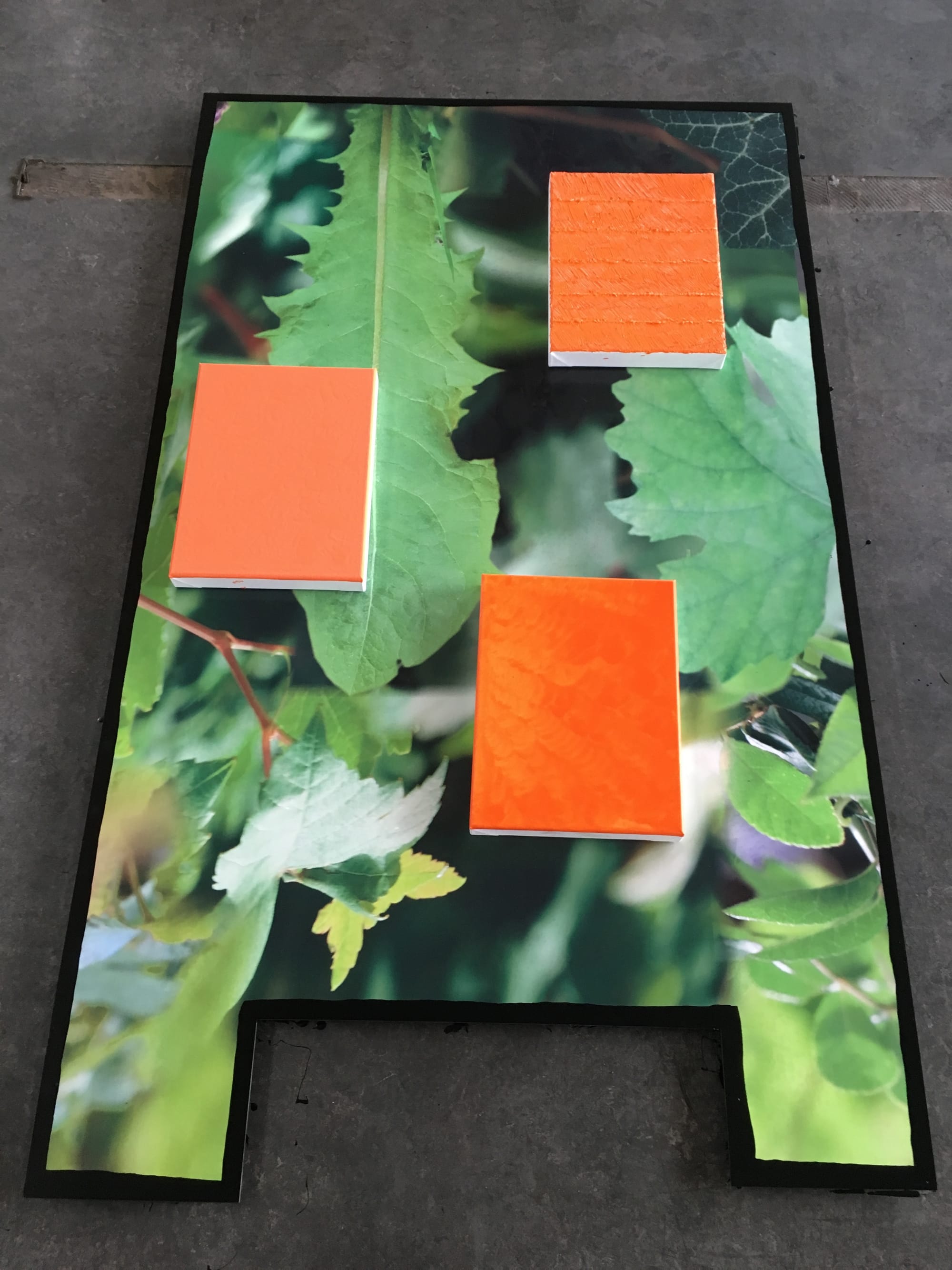 Apparently Orange /Nature  grondsculptuur COVRA expo 2017 (coll. WVO)