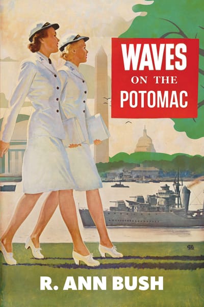 WAVES ON THE POTOMAC image