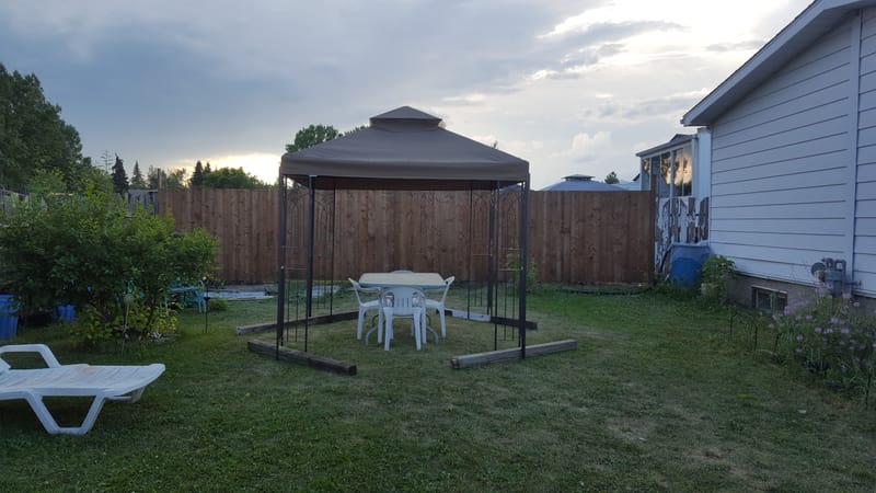 FENCE BEFORE & AFTERS