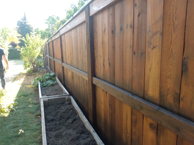 FENCE BEFORE & AFTERS