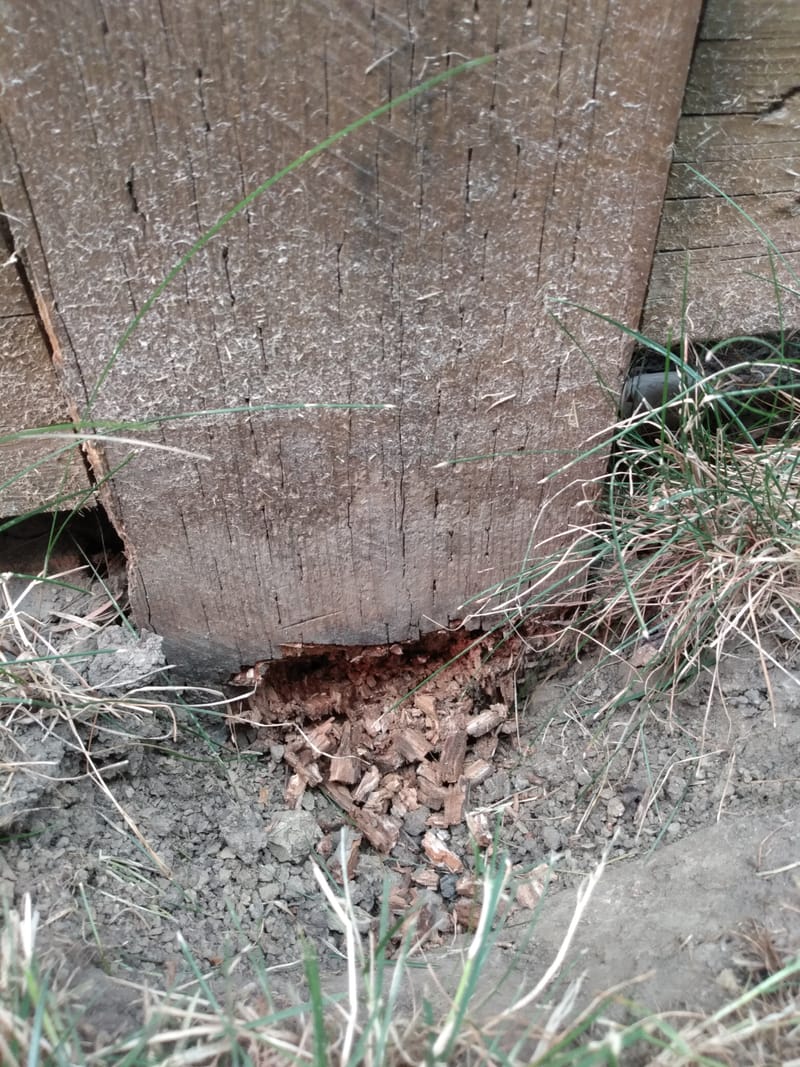 FENCE & SIDEWALK REPAIR