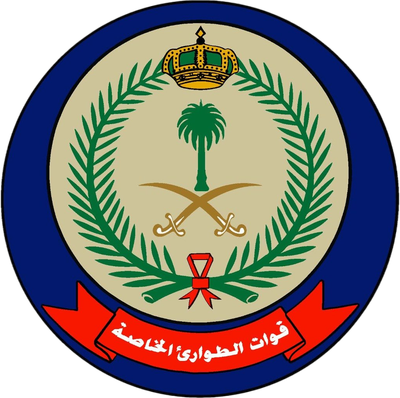 رئاسة أمن الدولة - قوة الطوارئ الخاصة