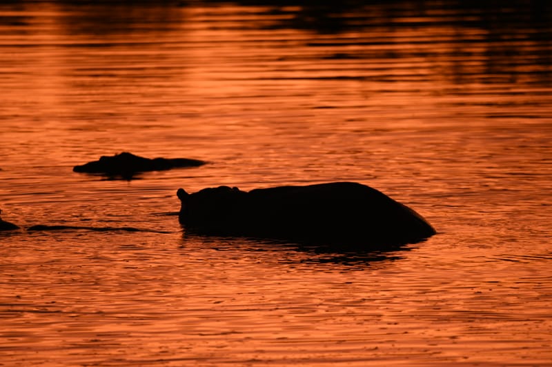 Le soir, le matin, la nuit