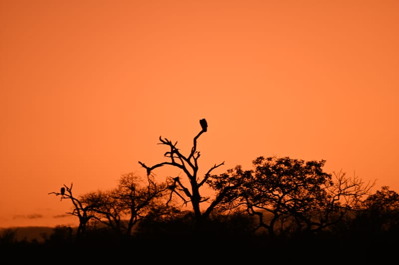 Le soir, le matin, la nuit