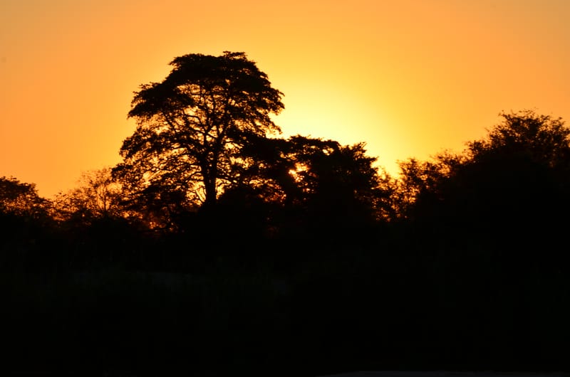 Le soir, le matin, la nuit