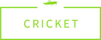 Meu Cricket