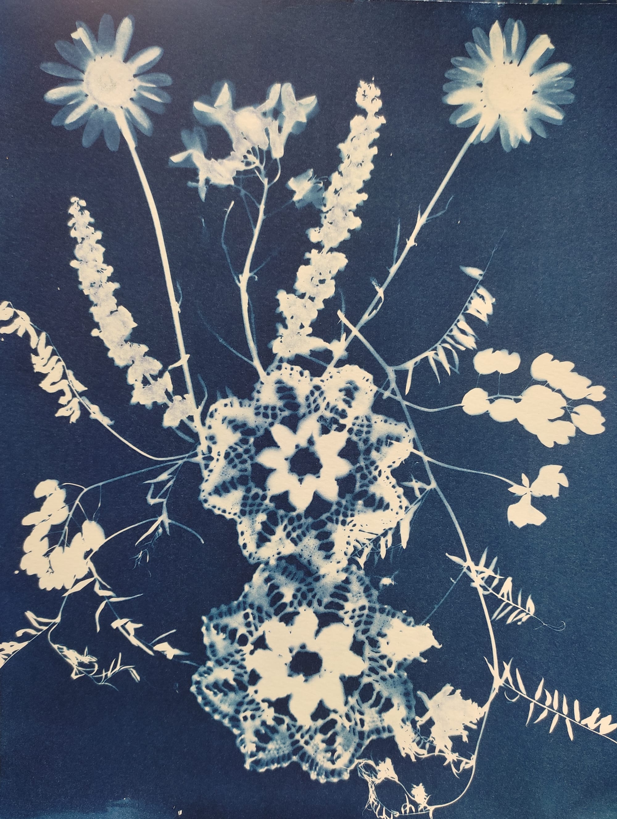 Botanical Impressions