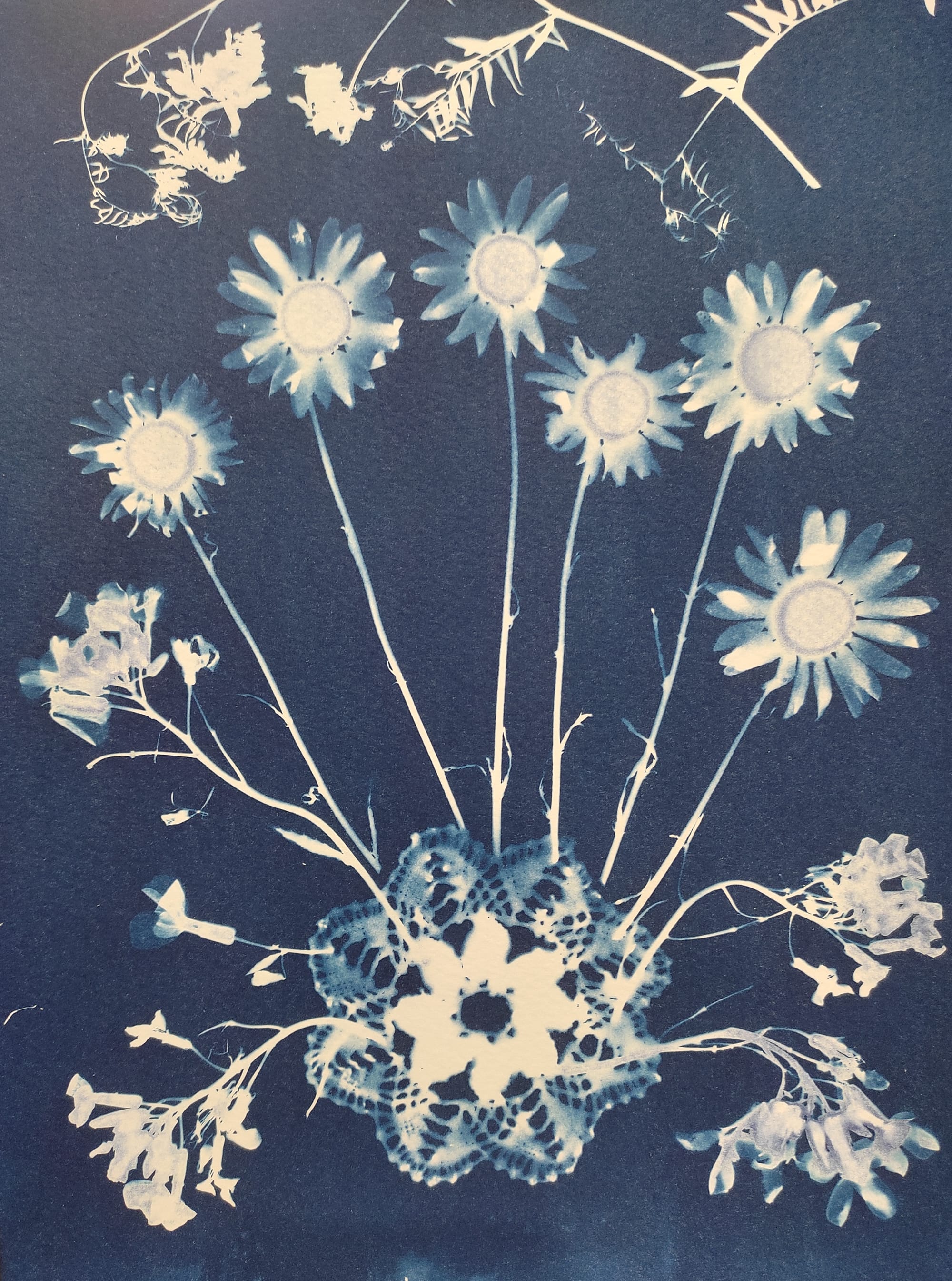 Botanical Impressions