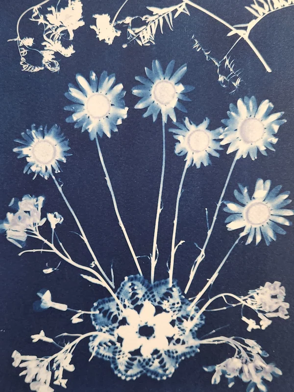 Botanical Cyanotypes