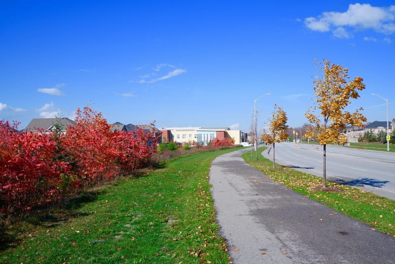 Neighborhood Photographic Tour