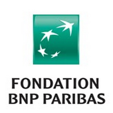 Logo Fondation BNP