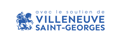 LOGO VILLE VSG