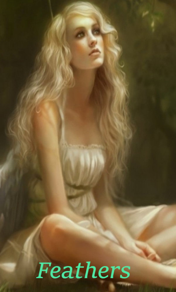 Feathers