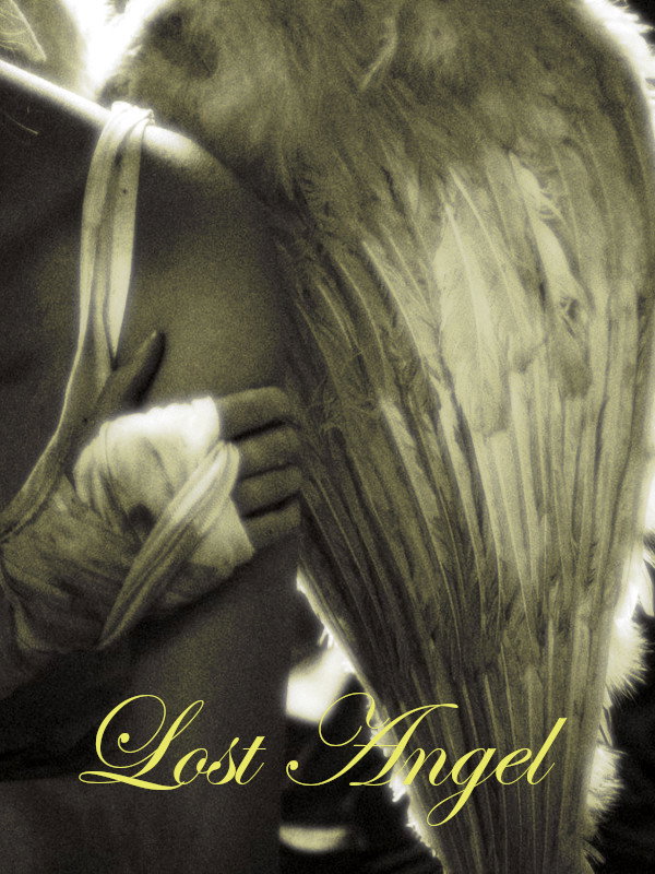 Lost Angel Excerpt
