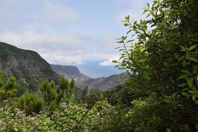 WELCOME TO LA GOMERA