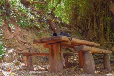 THE LEGEND OF LOS CHORROS DE EPINA - LA GOMERA