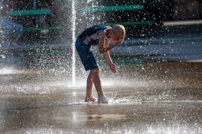 ”BETEENDEN SOM GÅR I ARV”