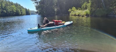 KOMMER DU IHÅG DIN DRÖM?