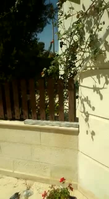 WPC الخشب الصناعي