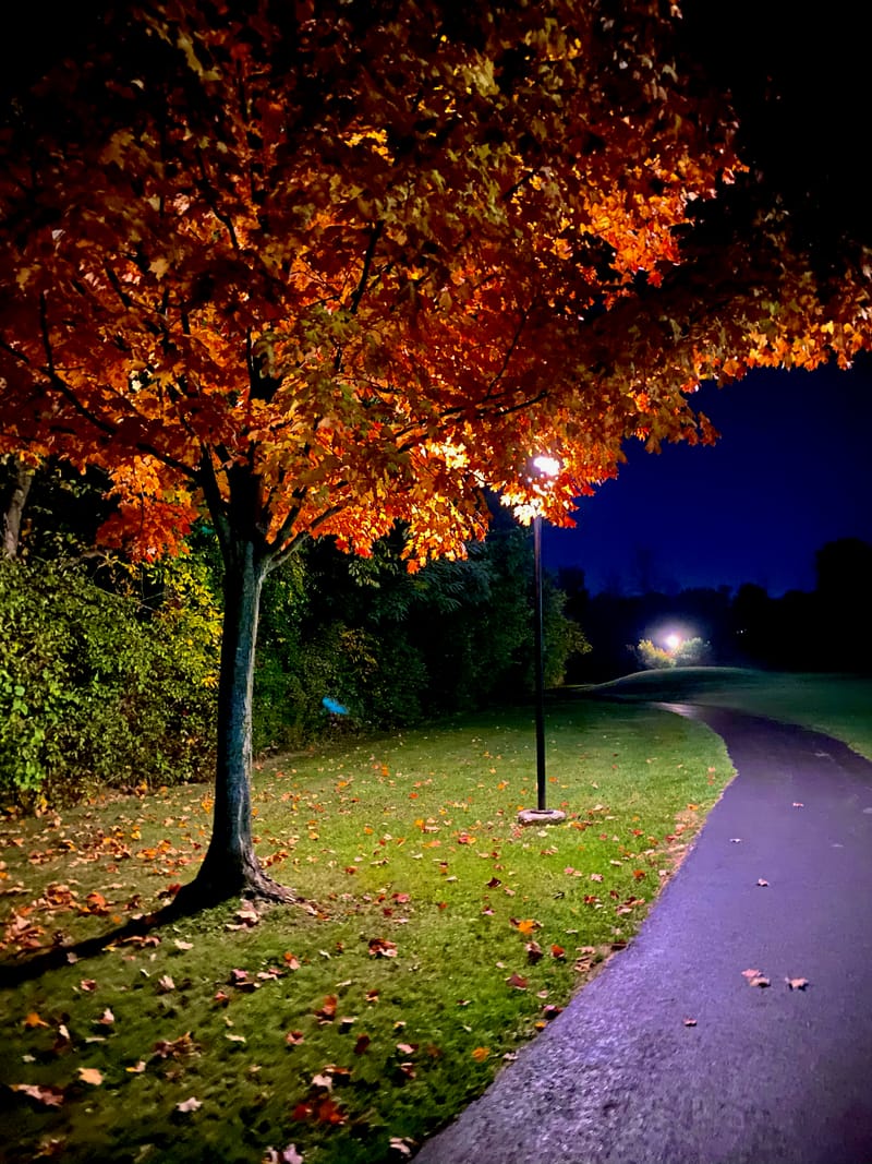 "Worth the Risk" - Three Year Anniversary