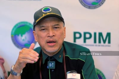 31) 'FIX PROBLEM AFFECTING THOSE DECLARED BANKRUPT PRIOR TO 2017' - NEW STRAITS TIMES - 31/01/2023