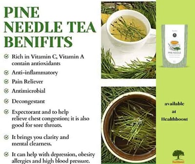 38) Detoksifikasi/penyingkiran racun atau toksin daripada Vaksin COVID-19 dengan menggunakan Pine Needle Tea