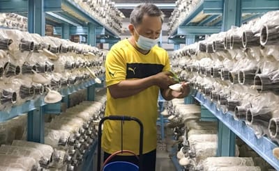 78) BANTU MISKIN TEGAR JANA PENDAPATAN, BUKAN TERUS BERI WANG, KATA KUMPULAN PENGGUNA - FREE MALAYSIA TODAY - 25/02/2023