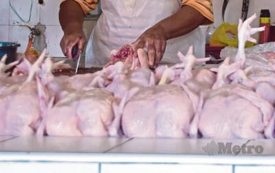 95) KALAU BETUL BEKALAN AYAM DAN TELUR BERLEBIHAN, HARGA MESTI DITURUNKAN - HARIAN METRO - 02/03/2023