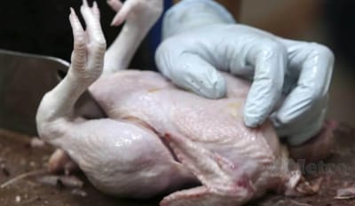 152) CAJ POTONG AYAM SEBAB PEMBORONG CAJ PENGHANTARAN - HARIAN METRO - 10/04/2023