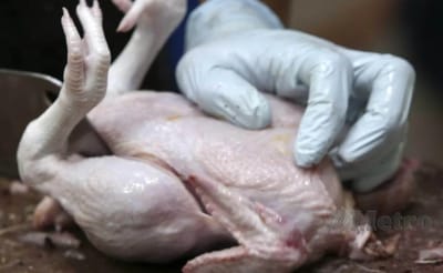 155) CAJ POTONG AYAM PENIAGA NAK ELAK UNTUNG JADI KECIL - HARIAN METRO - 11/04/2023