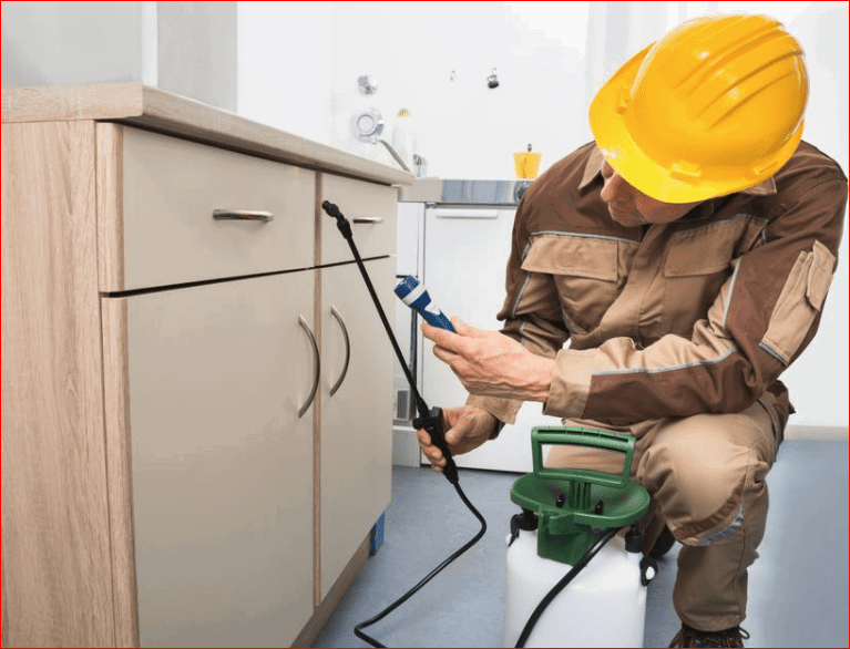 مكافحة حشرات المطبخ